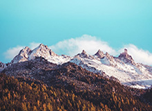 开云在线：连接美好生活的数字新入口