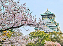 华体会体育登录-“东北超”辽吉黑蒙四省区5月23日同步开赛